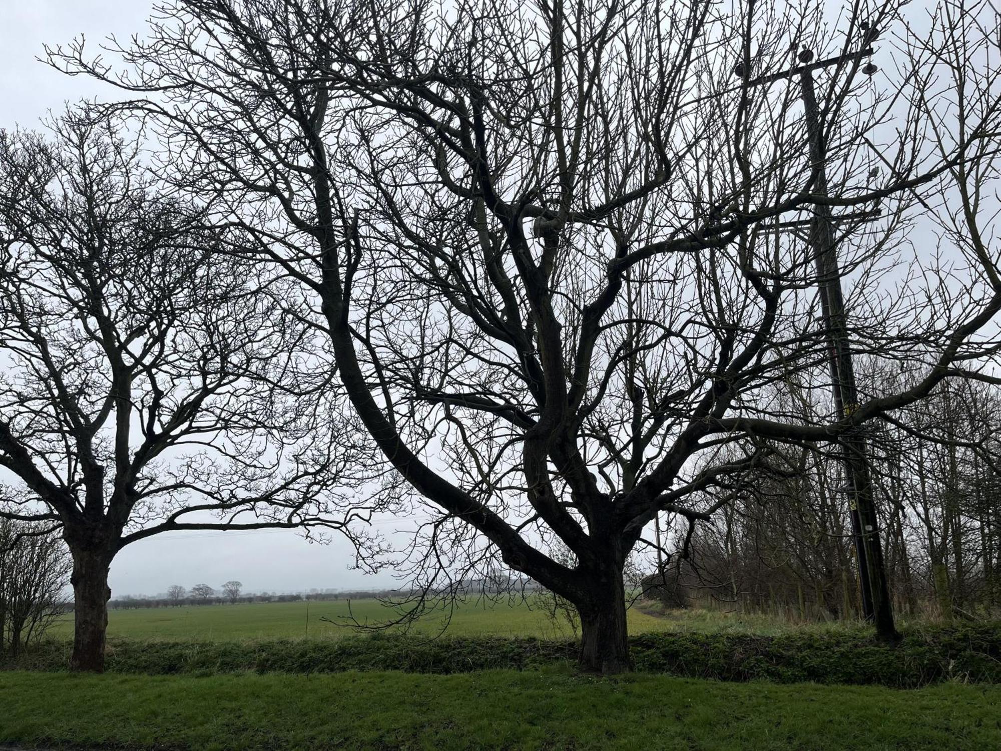 Cosy Village Location - One Bedroom Barn Barmston ภายนอก รูปภาพ